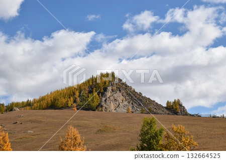 Vast land Vast land 132664525