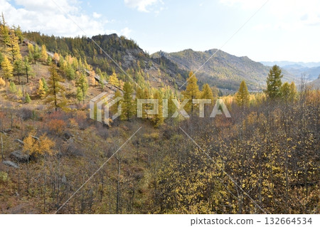 Vast land Vast land 132664534