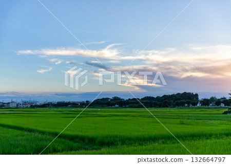 美麗的夕陽天空 132664797