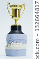 Dental Cast with Trophy Representing Oral Health Excellence 132664817