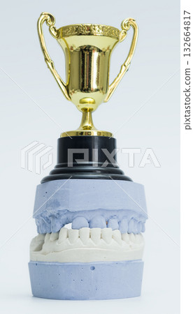 Dental Cast with Trophy Representing Oral Health Excellence Dental Cast with Trophy Representing Oral Health Excellence 132664817