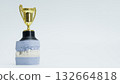 Dental Trophy Displayed on Plaster Cast Model 132664818