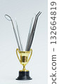 Dental Trophy Filled with Professional Tools 132664819