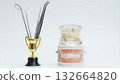Dental Trophy with Tools and Jaw Models Display 132664820