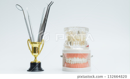 Dental Trophy with Tools and Jaw Models Display Dental Trophy with Tools and Jaw Models Display 132664820