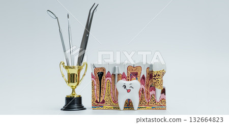 Dental Tools in Trophy with Tooth Anatomy Model and Cartoon Tooth Dental Tools in Trophy with Tooth Anatomy Model and Cartoon Tooth 132664823