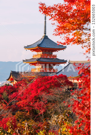 Vertical view of Kiyomizu-dera pagoda by fall red maple leaf, Kyoto Vertical view of Kiyomizu-dera pagoda by fall red maple leaf, Kyoto 132665003