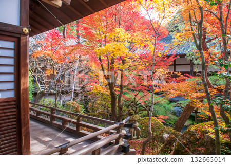 Eikan-do Zenrinji temple veranda with coloful leaf garden in autumn, Kyoto 132665014