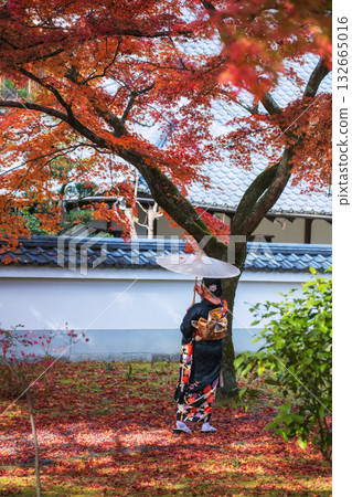 woman in Kimono at maple tree of Shinnyodo Temple in fall, Kyoto 132665016