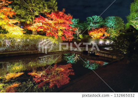 Bridge cross pond with autumn garden light up at Toji temple, Kyoto Bridge cross pond with autumn garden light up at Toji temple, Kyoto 132665032