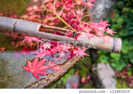 Red maple leaf float on water over basin in Enkoji temple garden at autumn, Kyoto Red maple leaf float on water over basin in Enkoji temple garden at autumn, Kyoto 132665035