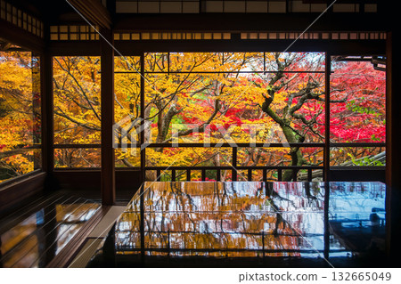foliage reflection of autumn maple leaf, Ruriko-in Temple, Kyoto 132665049