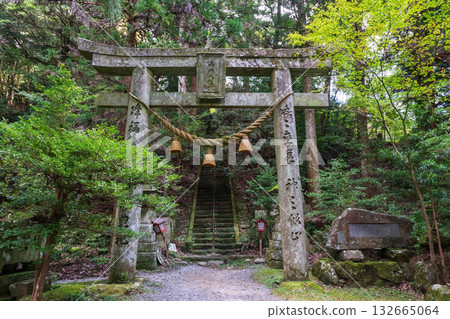 Torii gates and mountain path at Futagoji temple, Kunisaki, Oita Torii gates and mountain path at Futagoji temple, Kunisaki, Oita 132665064