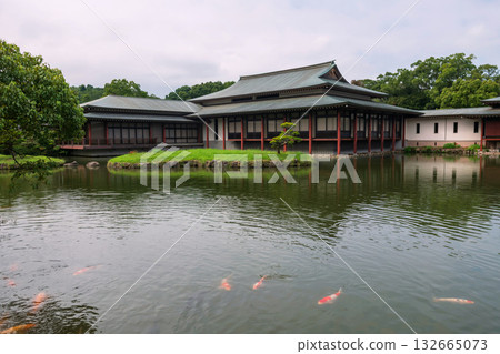 Carp koi fish in pond at Usa shrine garden, Oita prefecture, Japan 132665073