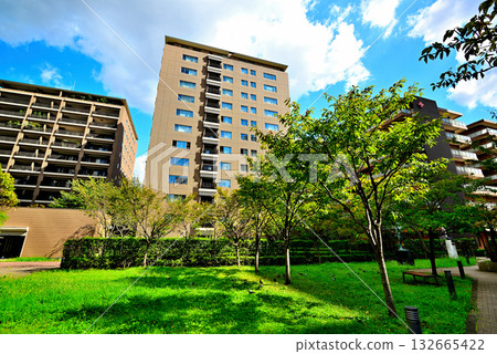 Luxury apartment in Hiroo, Tokyo's upscale residential area 132665422