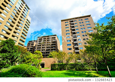 Luxury apartment in Hiroo, Tokyo's upscale residential area Luxury apartment in Hiroo, Tokyo's upscale residential area 132665423