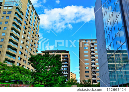 位於東京高級住宅區廣尾的豪華公寓 位於東京高級住宅區廣尾的豪華公寓 132665424