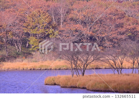Autumn at Akagi Kakumanbuchi in Gunma 132665511