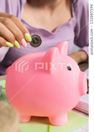 Adorable Pink Piggy Bank Emphasizing the Concept of Saving Coins and Financial Awareness Adorable Pink Piggy Bank Emphasizing the Concept of Saving Coins and Financial Awareness 132665594