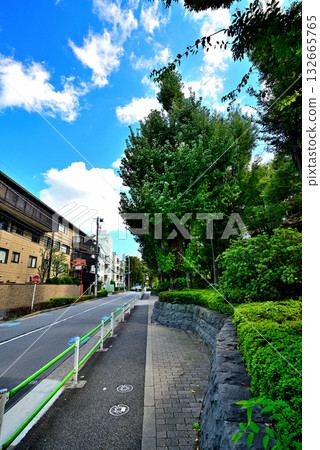 Luxury apartment in Hiroo, Tokyo's upscale residential area Luxury apartment in Hiroo, Tokyo's upscale residential area 132665765