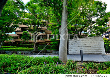 Luxury apartment in Hiroo, Tokyo's upscale residential area 132665777