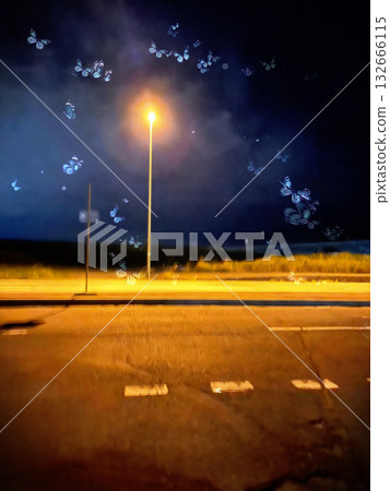 夜色中的河岸 夜色中的河岸 132666115