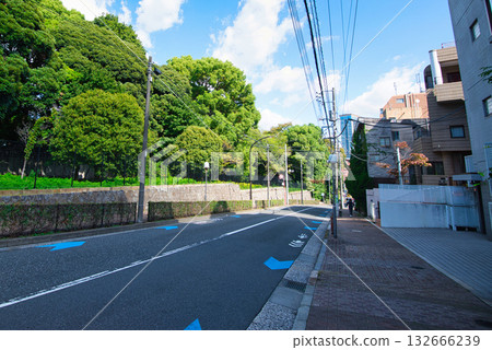 在廣尾高檔住宅區，一條綠樹成蔭的街道沐浴在初秋的陽光下。 132666239