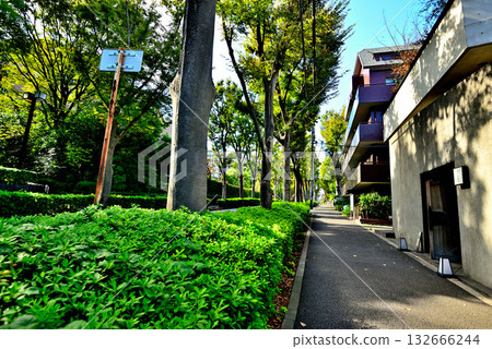 A tree-lined street bathed in early autumn sunlight in the upscale residential area of Hiroo A tree-lined street bathed in early autumn sunlight in the upscale residential area of Hiroo 132666244