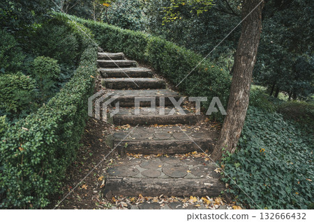Stone Garden Path. Rustic Steps through Greenery 132666432