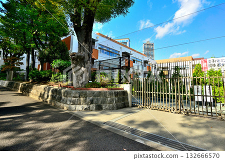 A tree-lined street bathed in early autumn sunlight in the upscale residential area of Hiroo 132666570