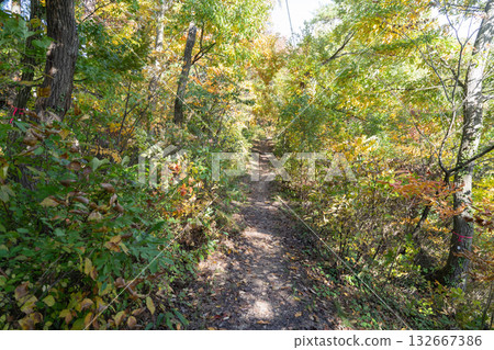舞鶴山登山步道（山形縣天童市） 132667386