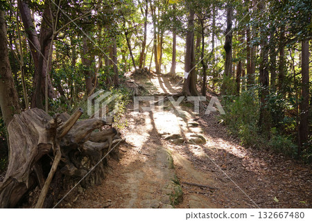 Genjiyama Park Hiking Course 132667480