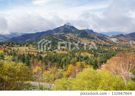 Autumn leaves of Shiga Kogen 132667664