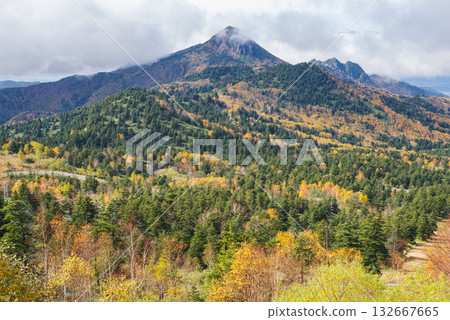 Autumn leaves of Shiga Kogen 132667665