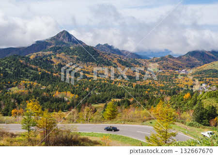 Autumn leaves of Shiga Kogen 132667670