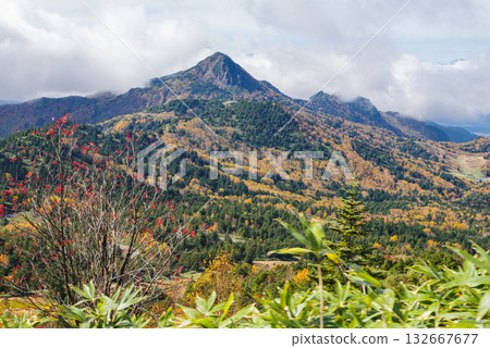 志賀高原秋葉 132667677