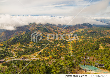 Autumn leaves of Shiga Kogen 132667686