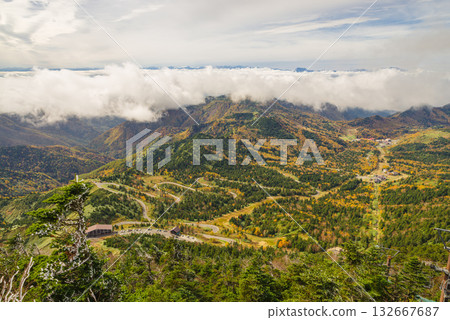 志賀高原秋葉 志賀高原秋葉 132667687