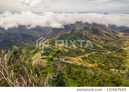 志賀高原秋葉 132667688