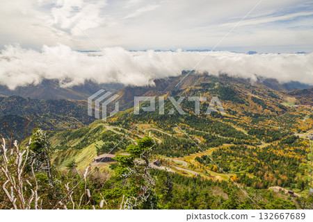 志賀高原秋葉 132667689