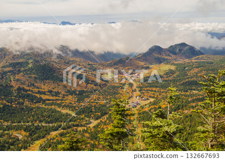 Autumn leaves of Shiga Kogen 132667693