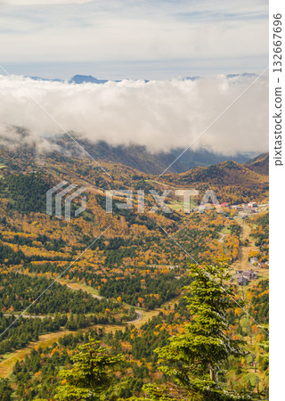 Autumn leaves of Shiga Kogen 132667696