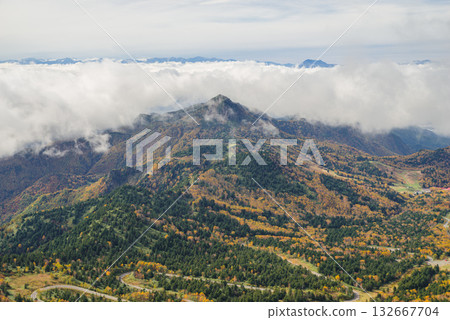 Autumn leaves of Shiga Kogen 132667704