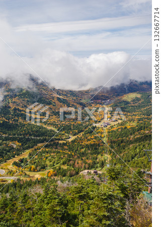 Autumn leaves of Shiga Kogen Autumn leaves of Shiga Kogen 132667714