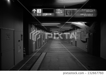 地下通道3號出口 132667760