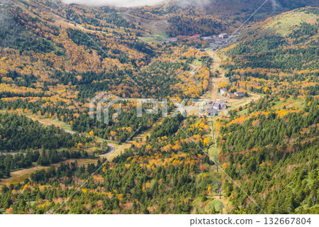 Shiga Kogen Autumn Driving Course 132667804