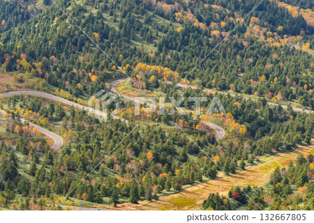 Shiga Kogen Autumn Driving Course Shiga Kogen Autumn Driving Course 132667805