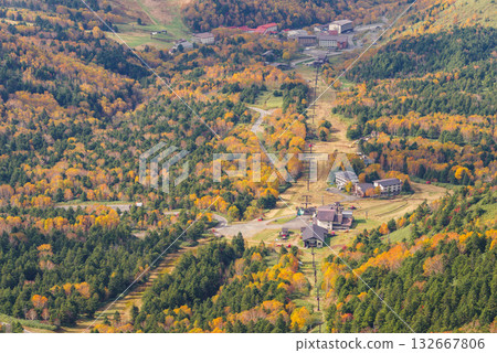 Shiga Kogen Autumn Driving Course Shiga Kogen Autumn Driving Course 132667806
