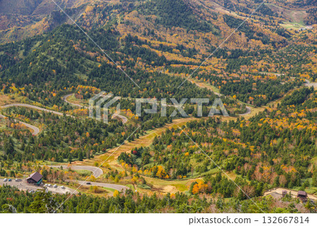 志賀高原秋季駕駛課程 132667814