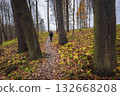 man walks along a path through trees in an autumn park 132668208